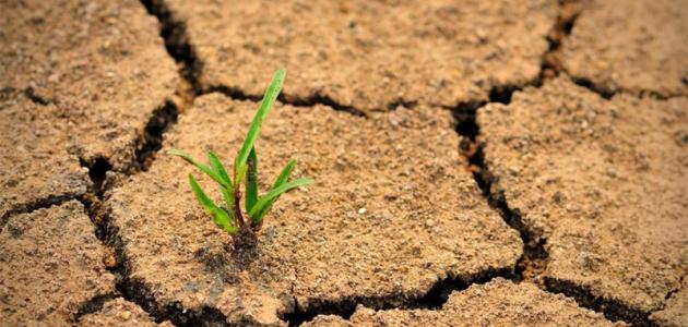 حلول لمشكلة التصحر حلول لمشكلة التصحر