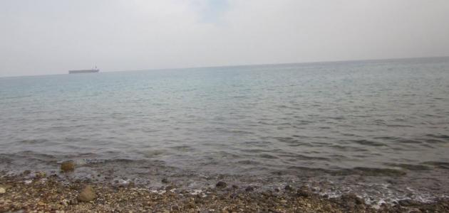 حماية الشواطئ حماية الشواطئ