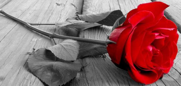 خصائص الغزل الحضري خصائص الغزل الحضري