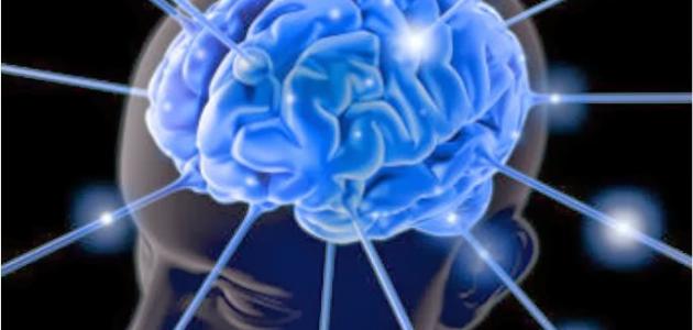 خصائص منهج التفكير الإسلامي