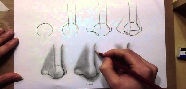 خطوات الرسم بالرصاص خطوات الرسم بالرصاص