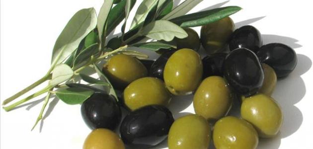 خواص الزيتون خواص الزيتون