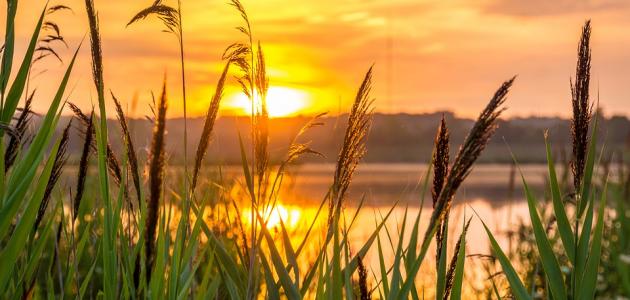 خواطر الصباح قصيرة