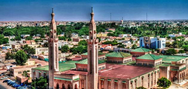 دول أفريقيا المسلمة