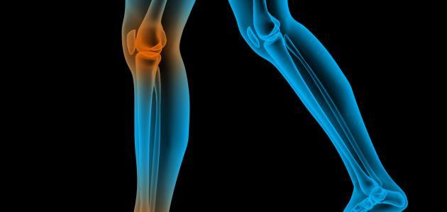 زيادة حجم العظام زيادة حجم العظام