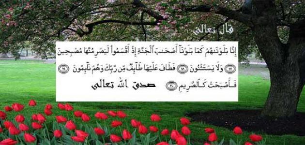 سبب نزول سورة القلم