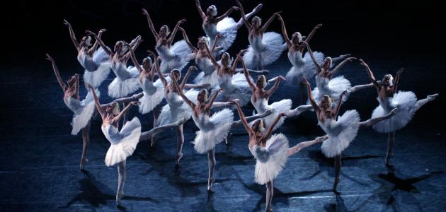 سمفونية بحيرة البجع سمفونية بحيرة البجع