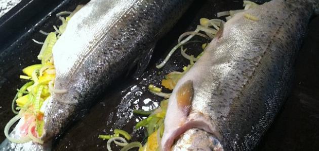 سمك محشي بالفرن سمك محشي بالفرن