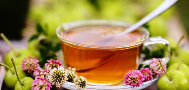 شاي البرسيم الأحمر شاي البرسيم الأحمر