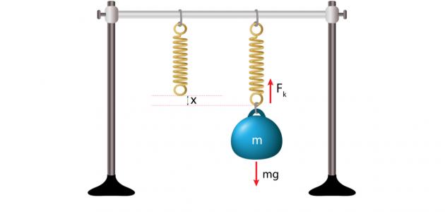 شرح قانون هوك شرح قانون هوك