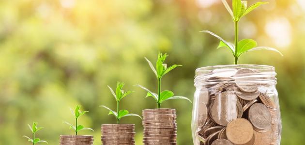 شرح مصطلح الاستثمار شرح مصطلح الاستثمار