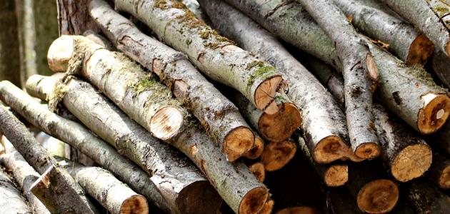 شرح مصطلح المواد الأولية شرح مصطلح المواد الأولية