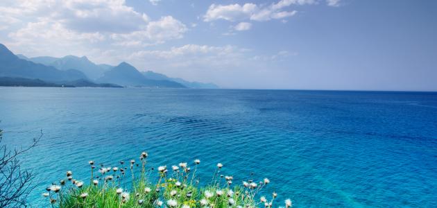 شعر عن الدنيا شعر عن الدنيا