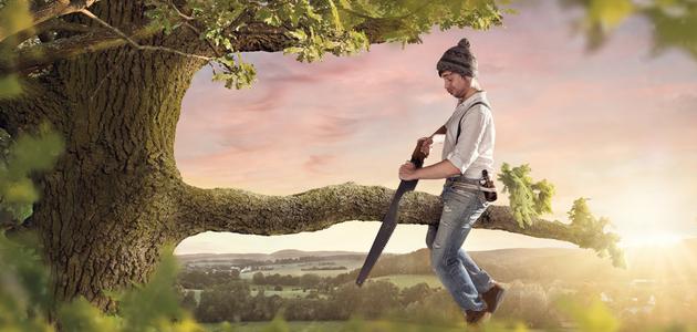 صفات السفيه صفات السفيه