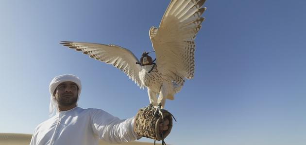 صفات العرب صفات العرب