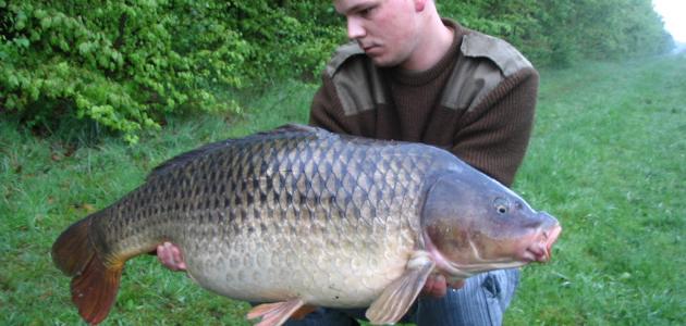 صيد سمك الكارب صيد سمك الكارب