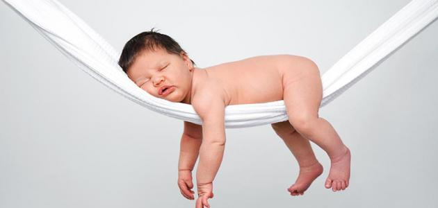 طرق إنجاب الذكور طرق إنجاب الذكور