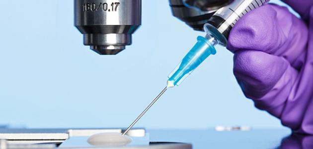 طرق انتقال فيروس الكبد الوبائي طرق انتقال فيروس الكبد الوبائي