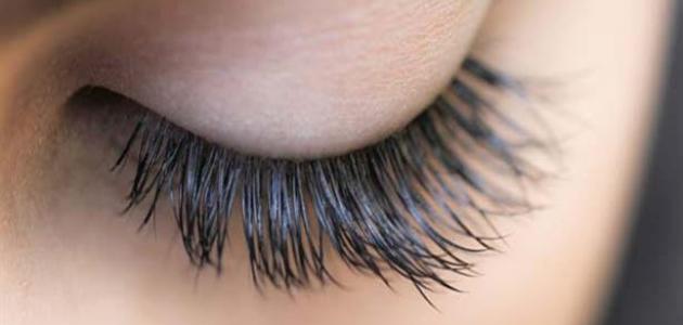 طرق تكثيف الرموش طرق تكثيف الرموش