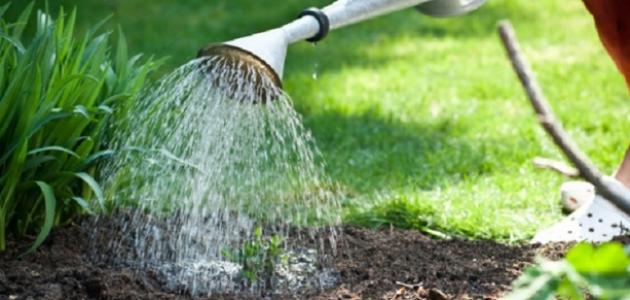 طرق ري الخضروات