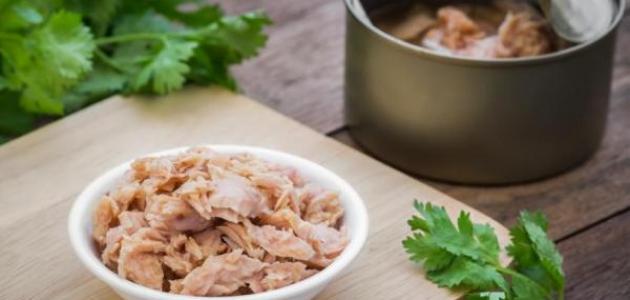 طريقة برياني التونة طريقة برياني التونة