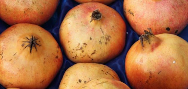 طريقة تخزين الرمان طريقة تخزين الرمان