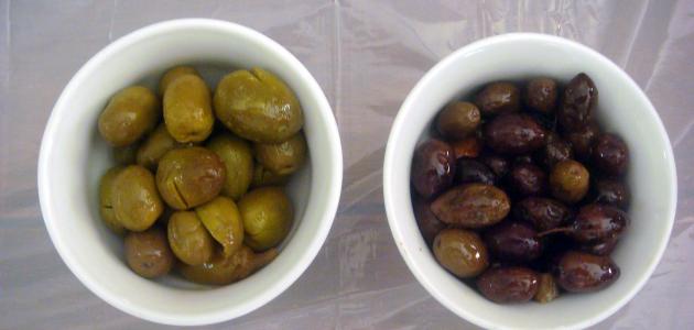 طريقة حفظ الزيتون طريقة حفظ الزيتون