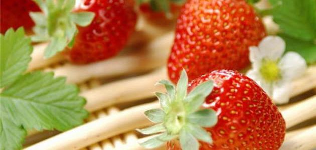طريقة حفظ الفراولة في الفريزر طريقة حفظ الفراولة في الفريزر