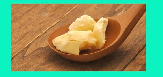 طريقة حفظ زبدة الشيا طريقة حفظ زبدة الشيا