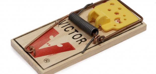 طريقة طرد الفئران من المنزل طريقة طرد الفئران من المنزل