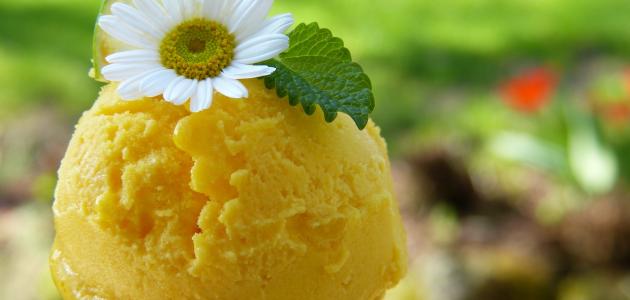 طريقة عمل آيس كريم ليمون