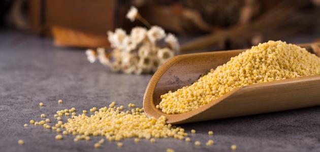 طريقة عمل البرغل بالدجاج