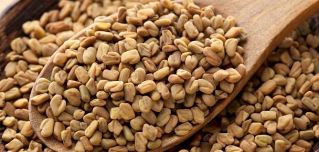 طريقة عمل الحلبة لتسمين الجسم طريقة عمل الحلبة لتسمين الجسم