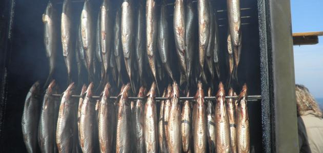 طريقة عمل الرنجة المشوية طريقة عمل الرنجة المشوية