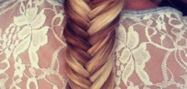 طريقة عمل الضفيرة السنبلة طريقة عمل الضفيرة السنبلة