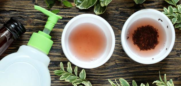 طريقة للتخلص من الناموس نهائياً طريقة للتخلص من الناموس نهائياً