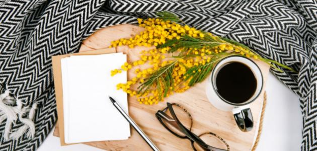 عبارات جميلة في الصداقة عبارات جميلة في الصداقة