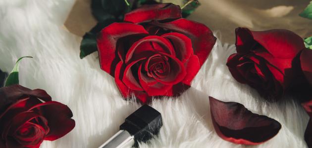 عبارات حب قصيرة عبارات حب قصيرة