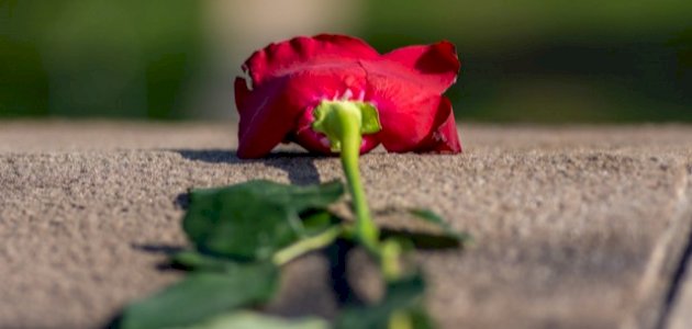 عبارات عن الحب من طرف واحد عبارات عن الحب من طرف واحد