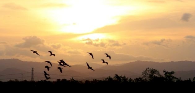 عبارات عن الصدق عبارات عن الصدق