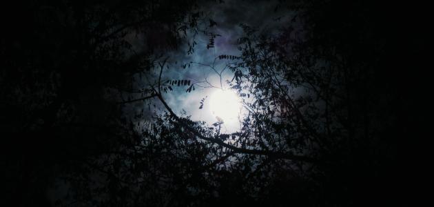 عبارات عن الهم والحزن عبارات عن الهم والحزن