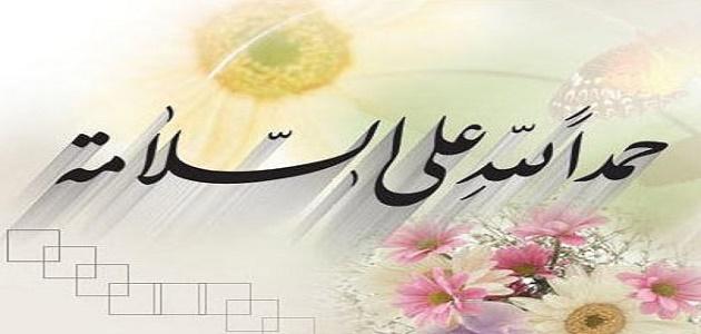 عبارات عن سلامة المريض عبارات عن سلامة المريض