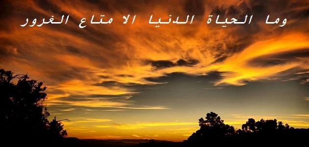 عبارات قوية عن الحياة عبارات قوية عن الحياة