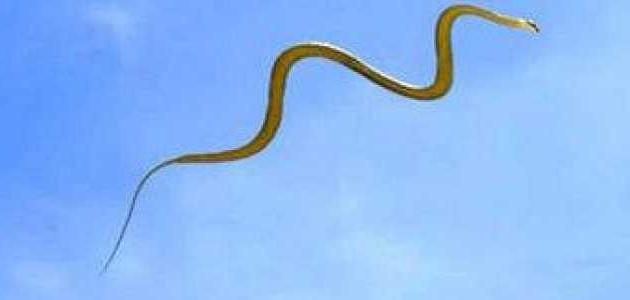 عجائب وغرائب الكون عجائب وغرائب الكون