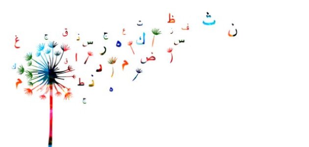 عدد أسماء الإشارة عدد أسماء الإشارة