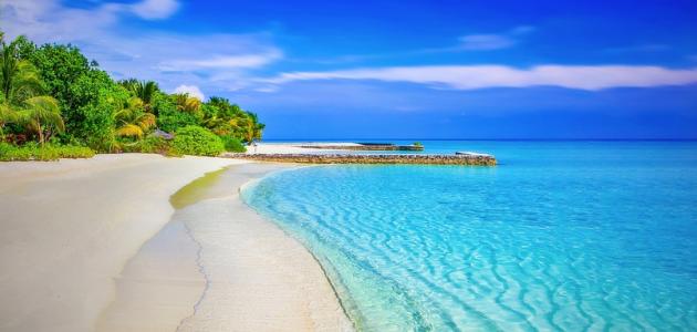 عدد الجزر في العالم عدد الجزر في العالم