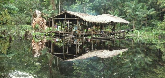 عدد سكان فنزويلا