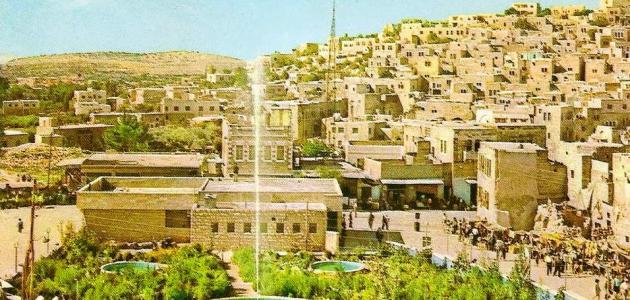 عدد سكان مدينة الخليل