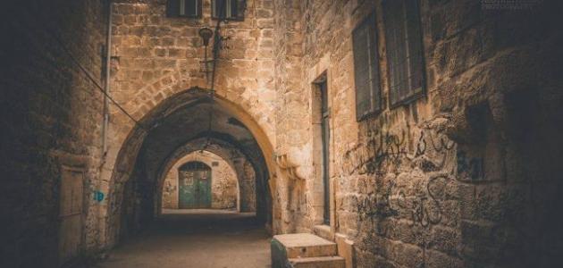 عدد سكان مدينة نابلس