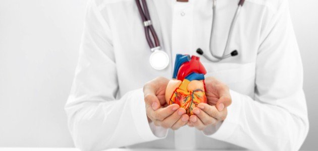 عدد شرايين القلب عدد شرايين القلب